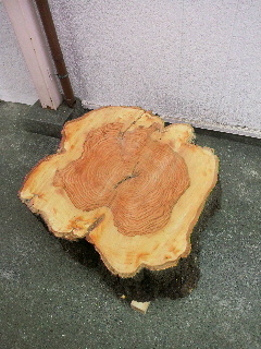 2013081112250000.jpg