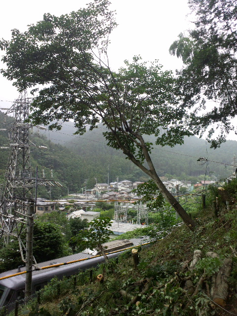 2013110615030000.jpg