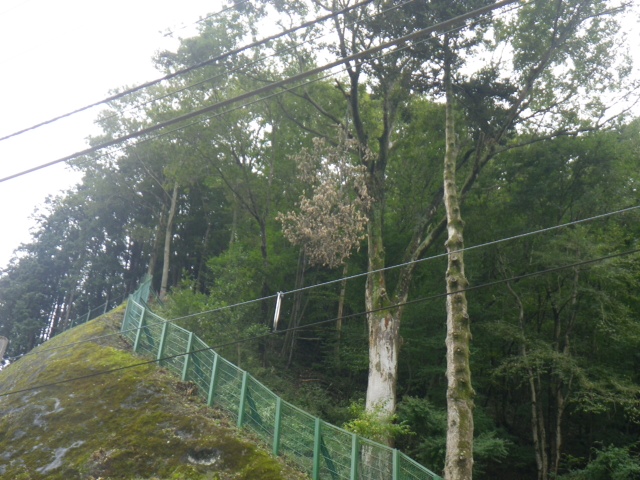 image0007.jpg