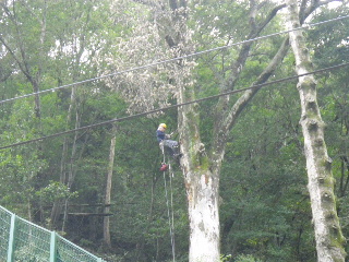 2013110615250000.jpg