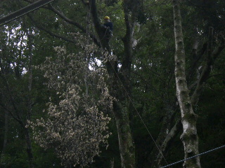 2013110615310000.jpg