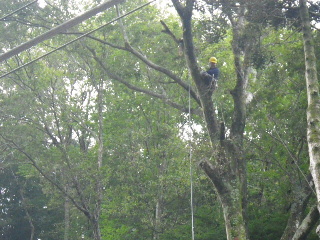 2013110615320000.jpg