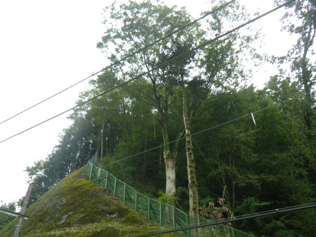 image0005.jpg