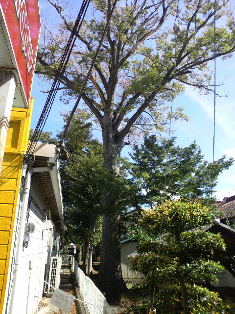 2013111312540000.jpg