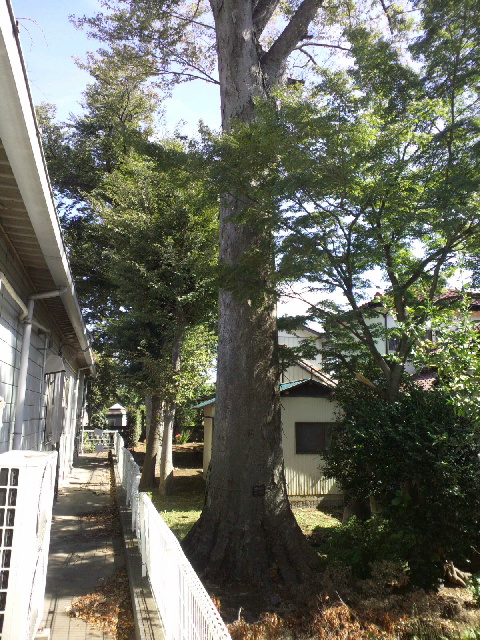 2013111312570000.jpg