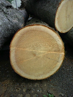2013111316340000.jpg