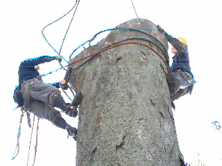 2013111317570000.jpg