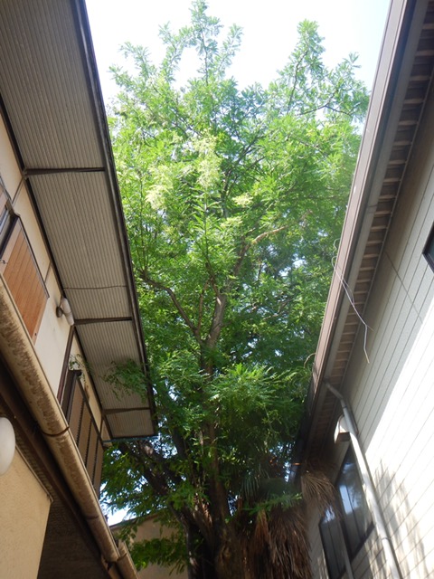 DSCN0789.jpg