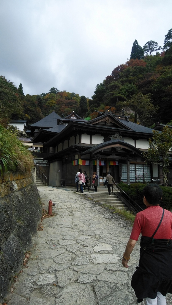 IMG_20191024_095528.jpg