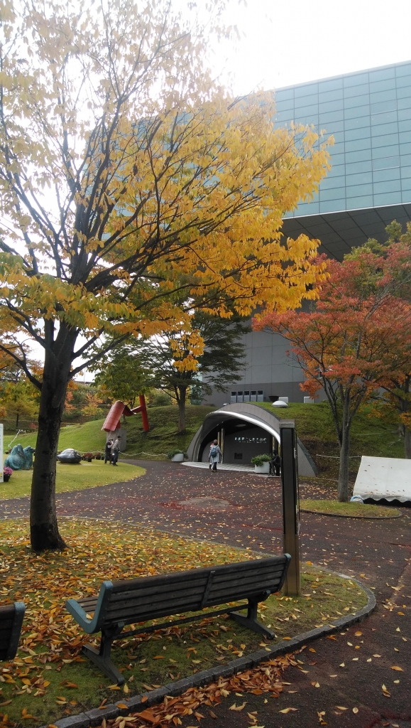 IMG_20191027_095606.jpg