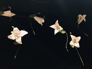 image1.jpeg