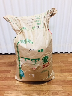 image1.jpeg