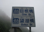 実はこう読むのでした