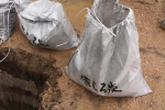 癒しろ炭