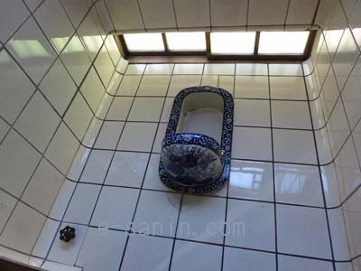 大便器