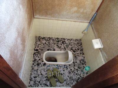 ぽっちゃんトイレその後
