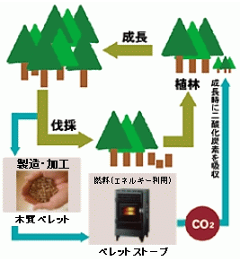 サイウル