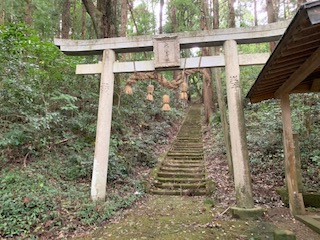 IMG_0140.jpg