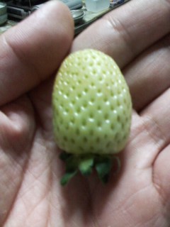 P2012_1111_183049.jpg