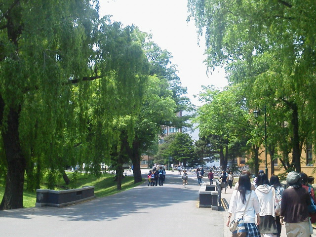 201206081208000.jpg