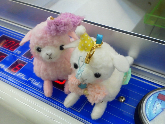 201206032030000.jpg