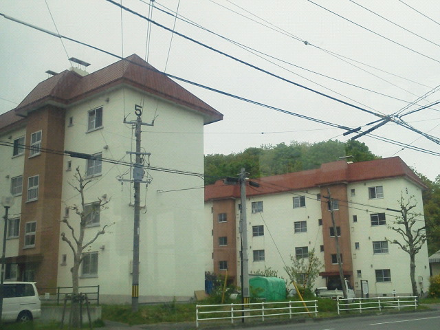 201206030846000.jpg