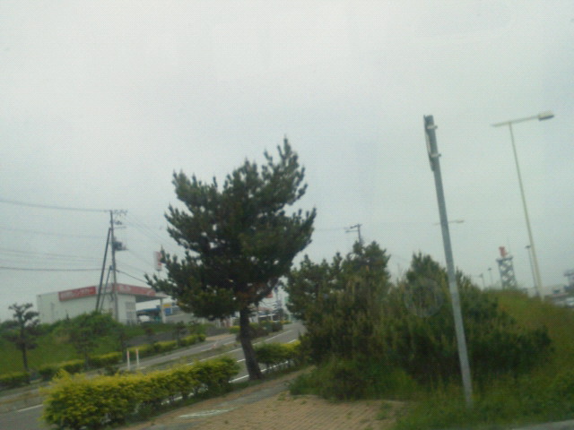 201206030841000.jpg
