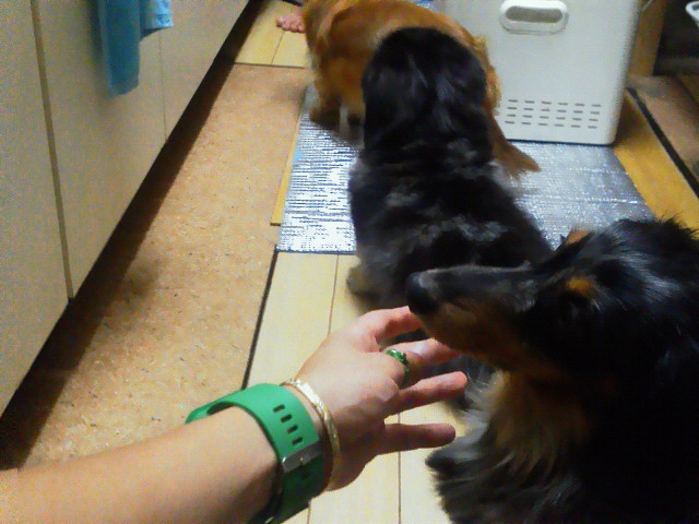 201307302116000.jpg