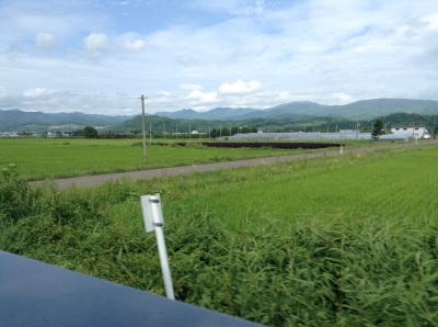IMG_6022.JPG