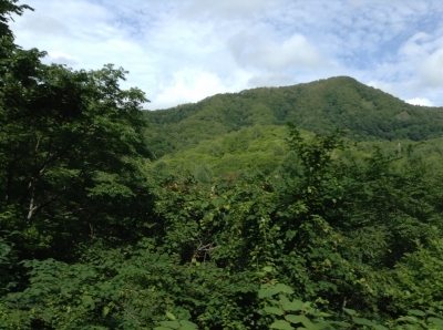 IMG_6057.JPG