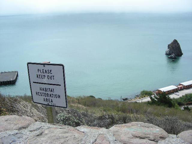 DSCN0721.JPG