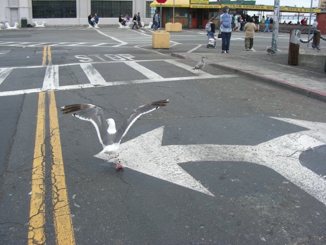 th_DSCN0754.jpg