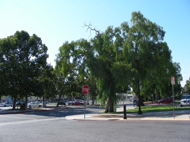 th_DSCN0927.jpg