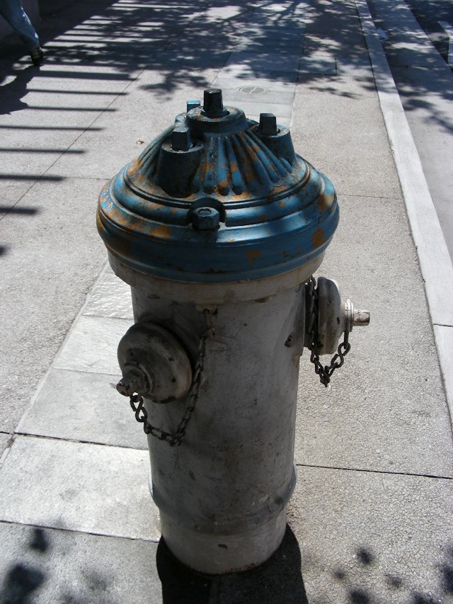 th_DSCN0995.jpg
