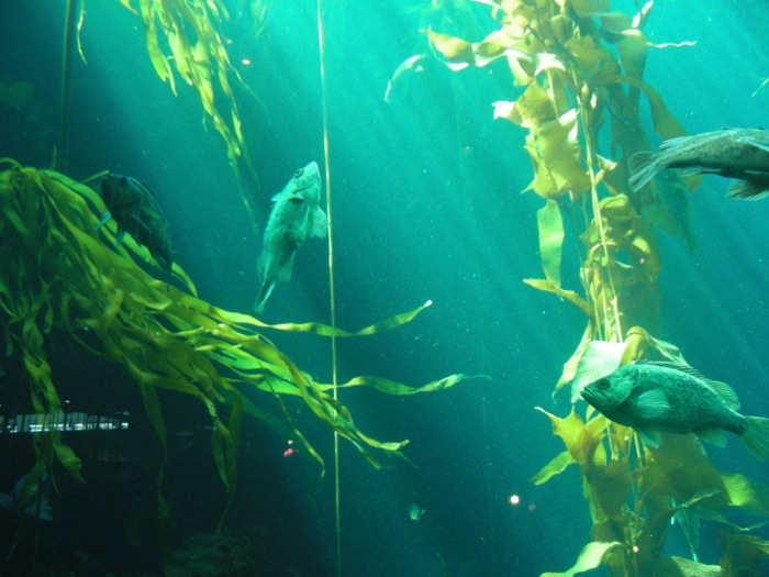 th_DSCN1255.jpg