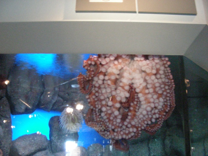 th_DSCN1257.jpg