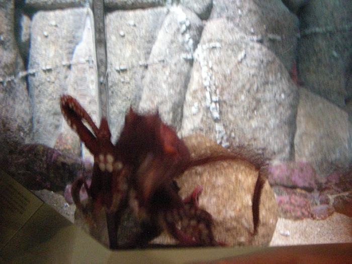 th_DSCN1262.jpg