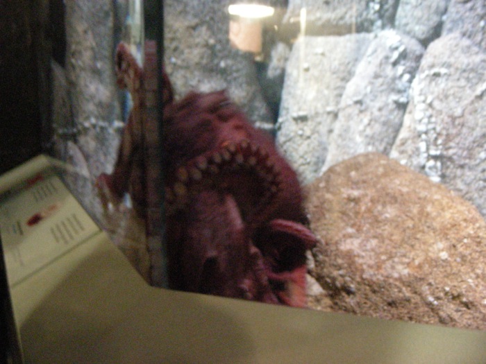 th_DSCN1263.jpg