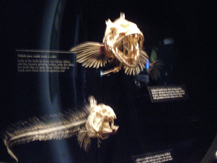th_DSCN1270.jpg