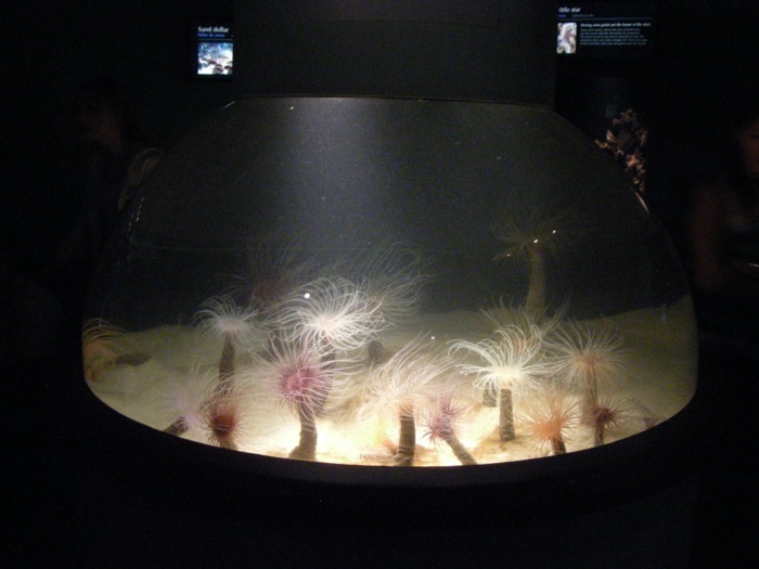 th_DSCN1274.jpg
