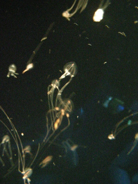 th_DSCN1306.jpg