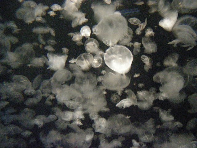 th_DSCN1307.jpg