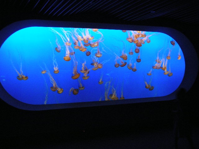th_DSCN1310.jpg