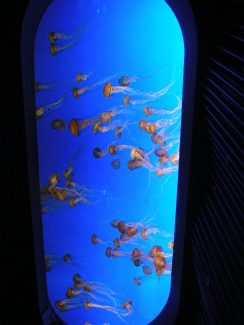 th_DSCN1311.jpg