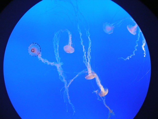 th_DSCN1312.jpg