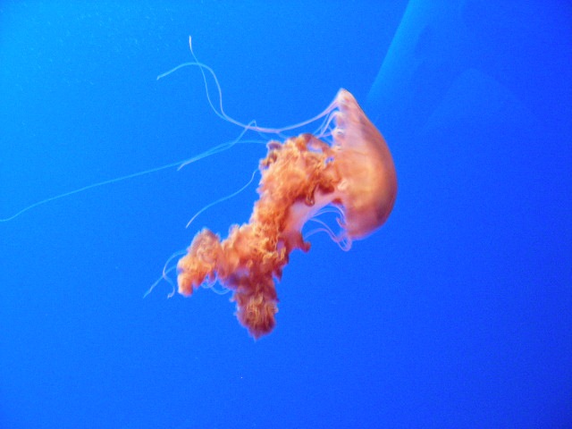 th_DSCN1319.jpg
