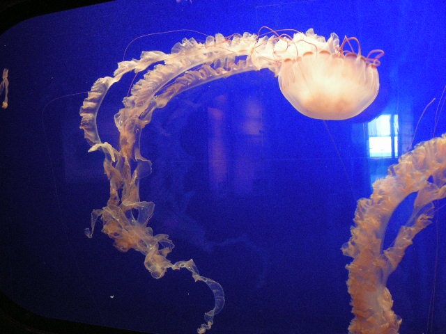 th_DSCN1323.jpg