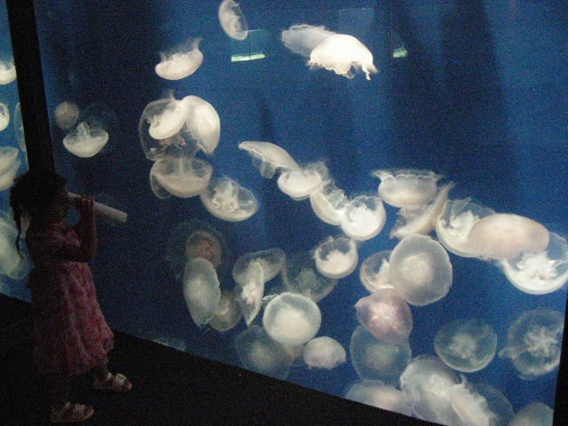 th_DSCN1326.jpg