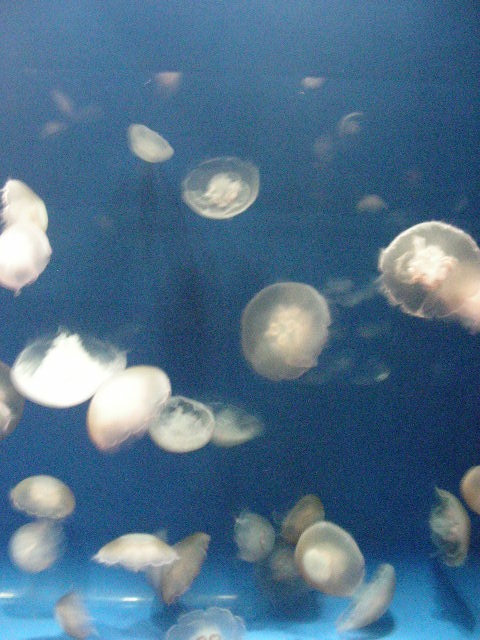 th_DSCN1327.jpg