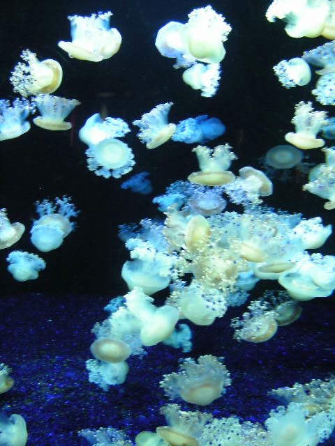 th_DSCN1330.jpg